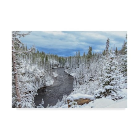 Galloimages Online 'Yellowstone Winter In Fall' Canvas Art,16x24